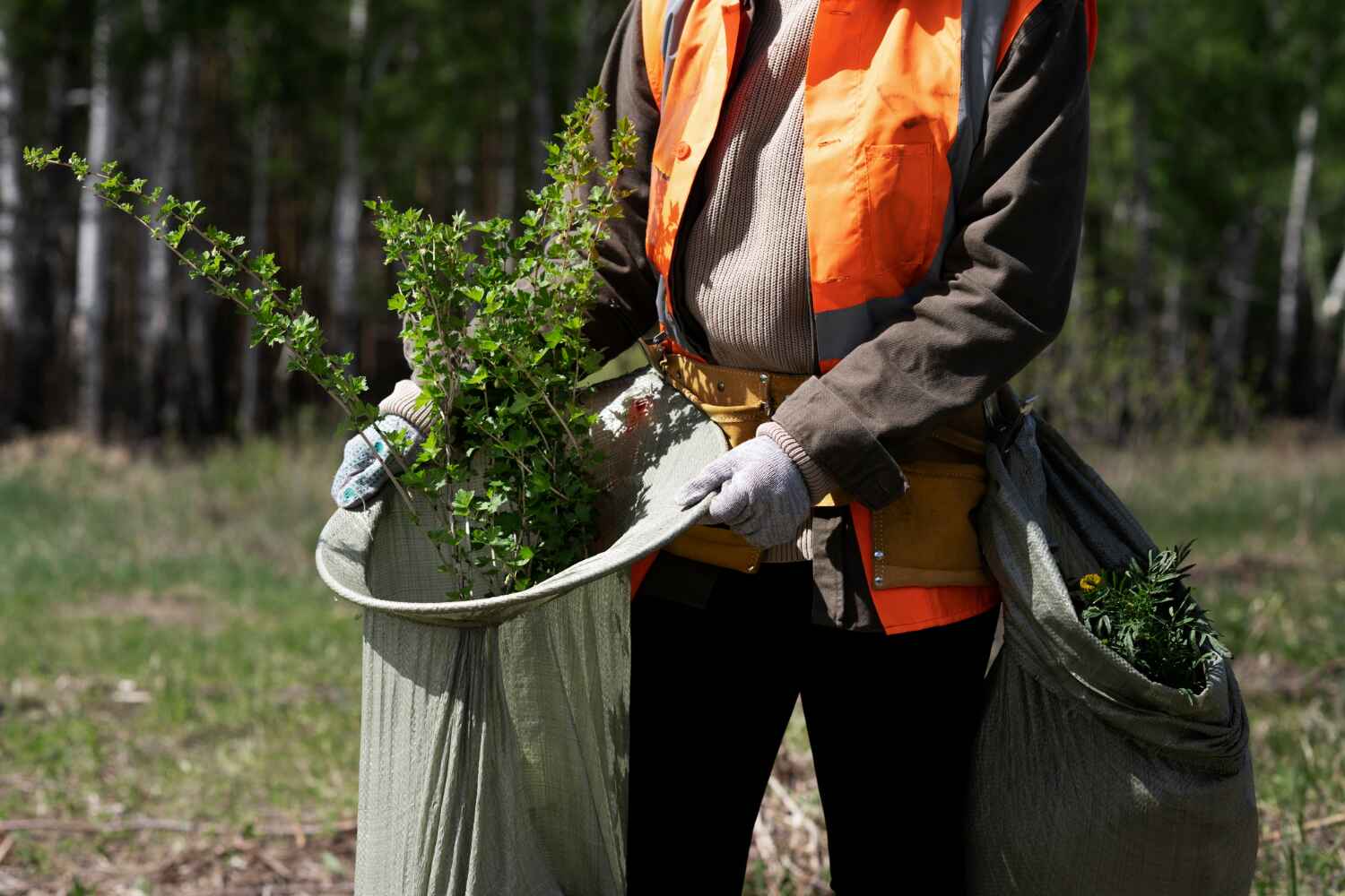 Best Tree Pruning Services  in Valrico, FL